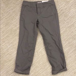 Gray Chino Pants
